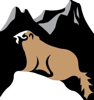 Hoarding marmot - We're Alaska's finest outdoor gear & clothing consignment store! Find great deals on gently used gear and let us find your neglected gear a new home.